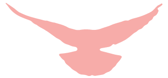 1698747075645196